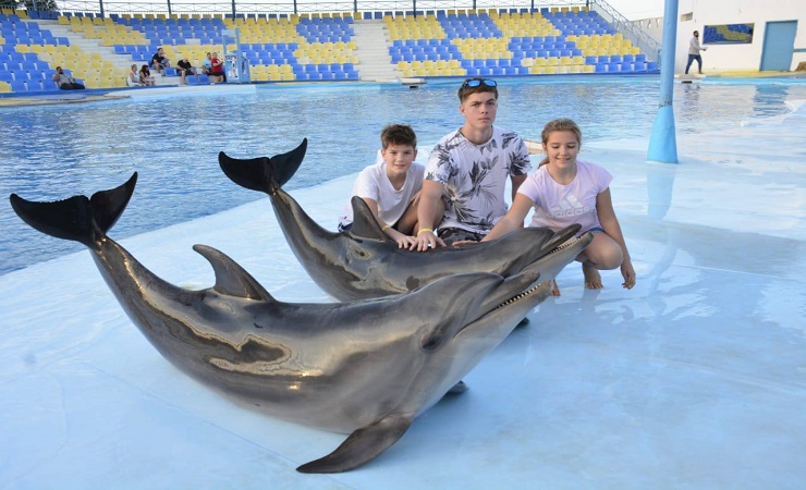 DOLPHIN SHOW $15